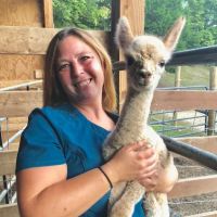 Sale Creek Veterinary Services ico