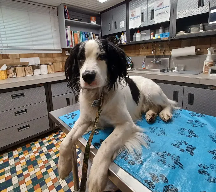 Sale Creek Veterinary Services 6