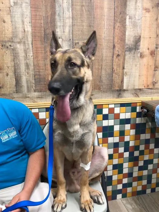 Sale Creek Veterinary Services 9