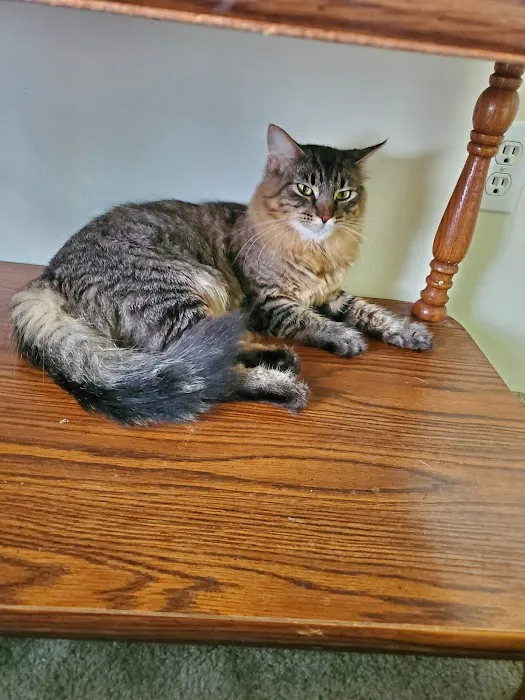 Mountain Top Veterinary Services 7