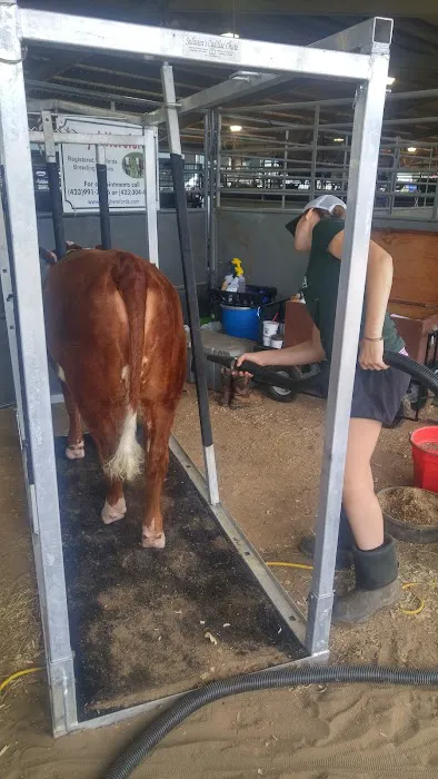 Tyree Veterinary Services 9
