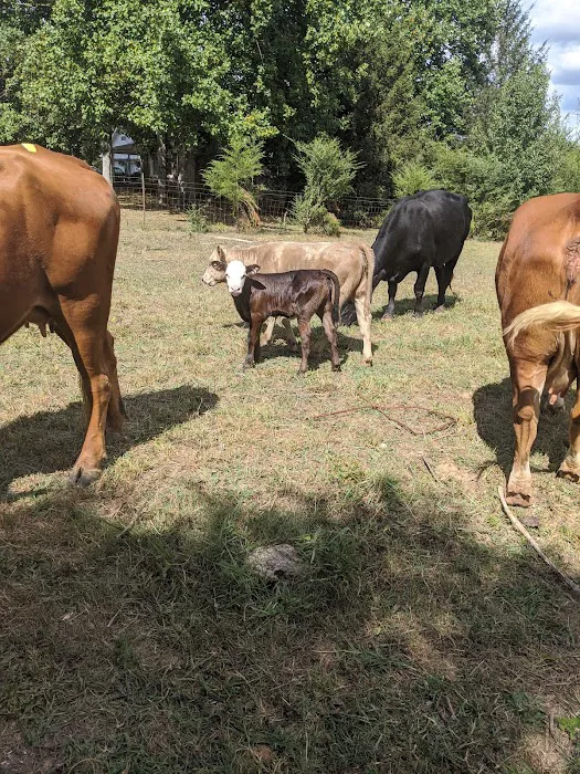 Tyree Veterinary Services 5