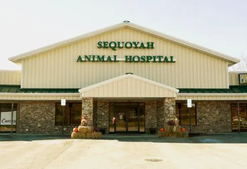 Sequoyah Animal Hospital 1