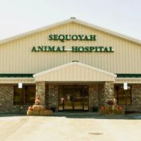 Sequoyah Animal Hospital ico
