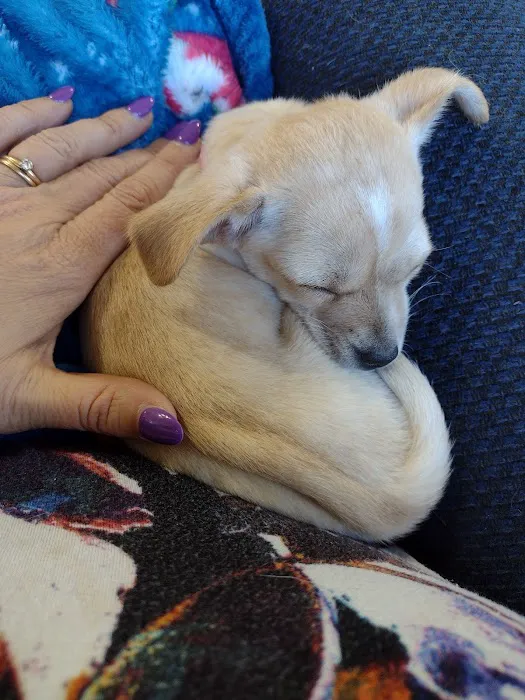 Sequoyah Animal Hospital 6