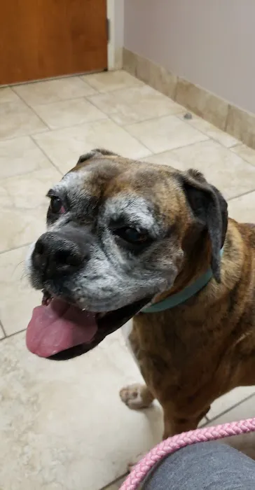 Sequoyah Animal Hospital: Broom Lee DVM 1