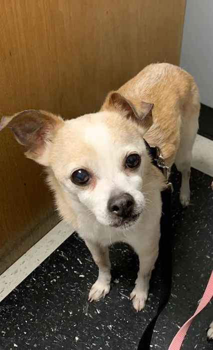 Monroe County Animal Hospital 2
