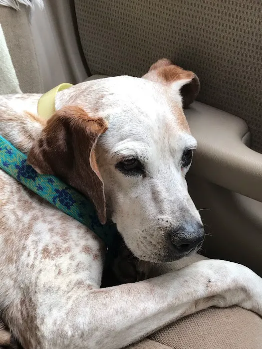 Monroe County Animal Hospital 10