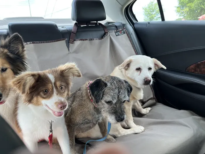 Monroe County Animal Hospital 1