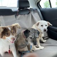 Monroe County Animal Hospital ico