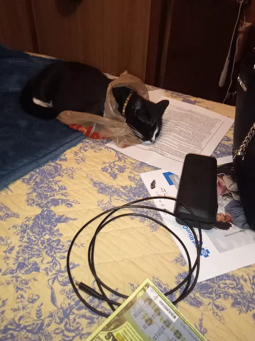 MRHS Spay & Neuter Clinic 1