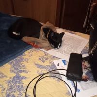 MRHS Spay & Neuter Clinic ico