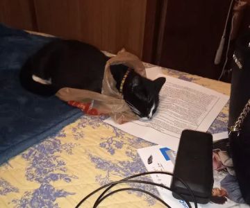 MRHS Spay & Neuter Clinic