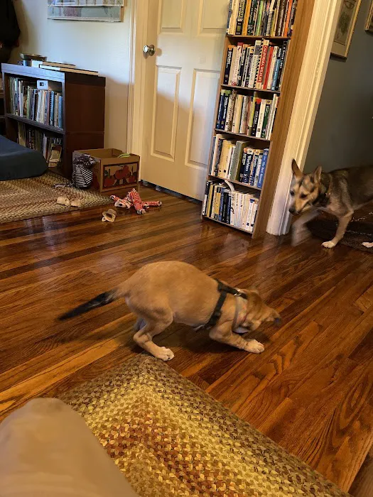 MRHS Spay & Neuter Clinic 6