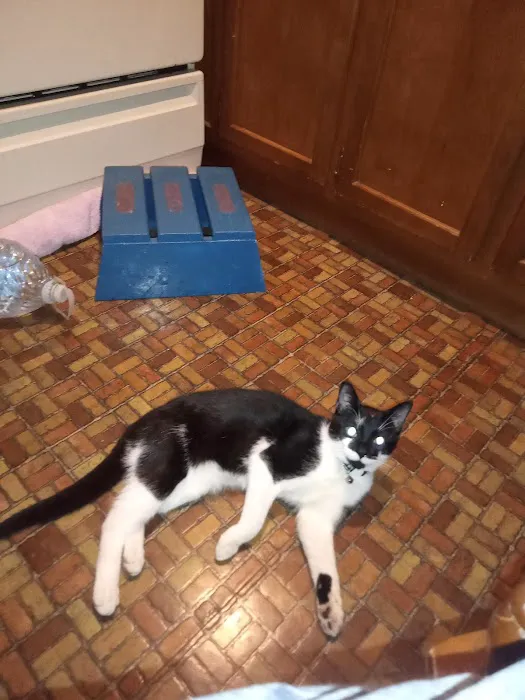 MRHS Spay & Neuter Clinic 2
