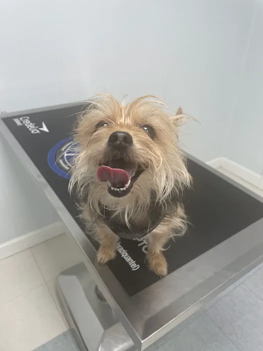 Family & Friend Pet Clinic 4