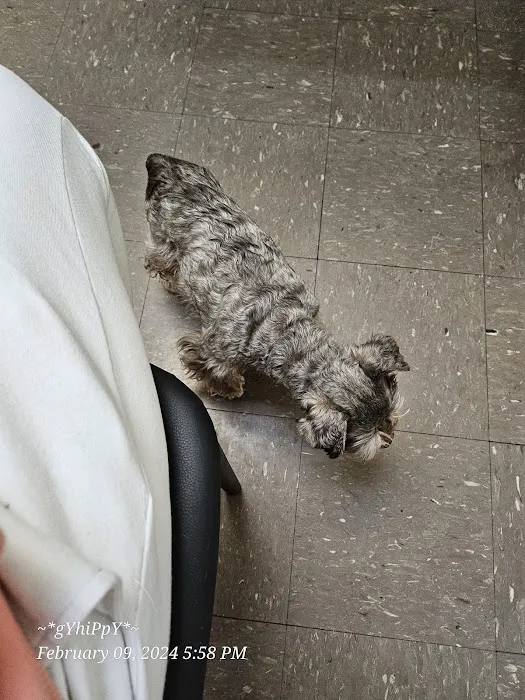 Animal Clinic of Athens 2