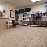 Animal Clinic of Athens ico