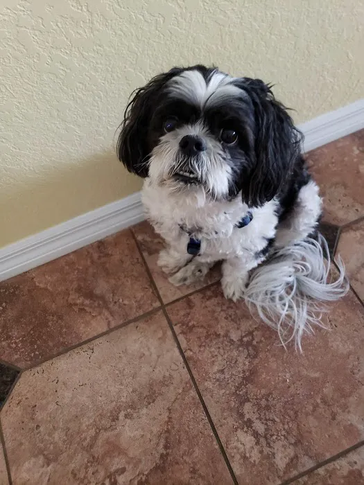 Notchey Creek Veterinary 9