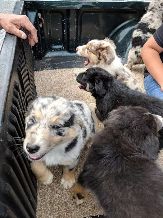 Notchey Creek Veterinary 1