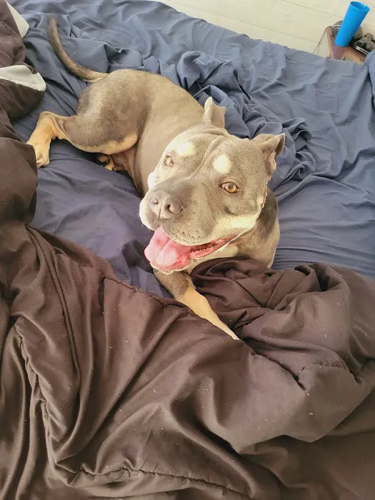 Tellico Bay Animal Hospital LLC 3