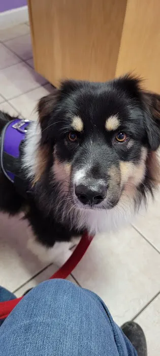 Tellico Bay Animal Hospital LLC 1