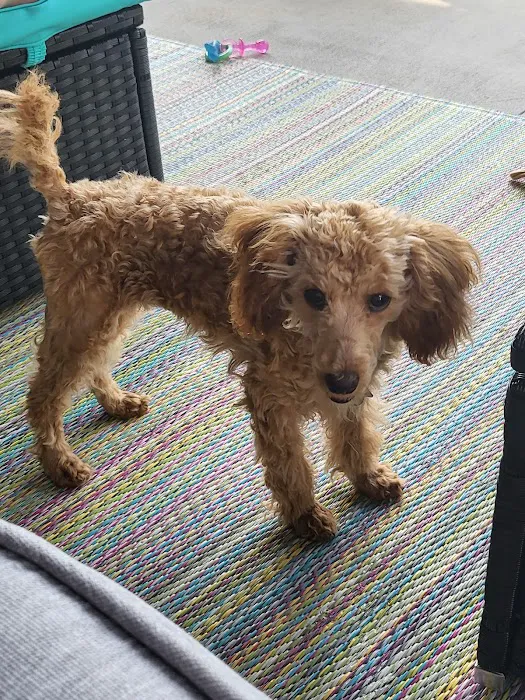 Tellico Bay Animal Hospital LLC 9