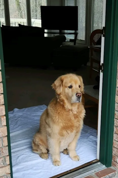 Tellico Bay Animal Hospital LLC 5