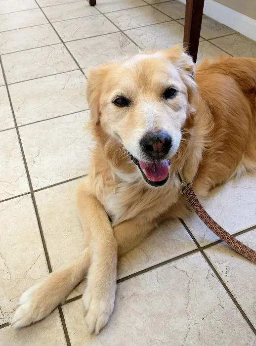 Tellico Bay Animal Hospital LLC 2