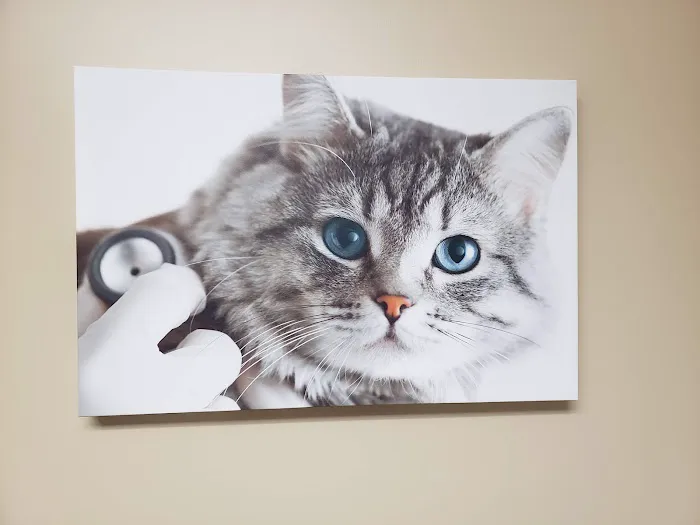 Tellico Bay Animal Hospital LLC 4