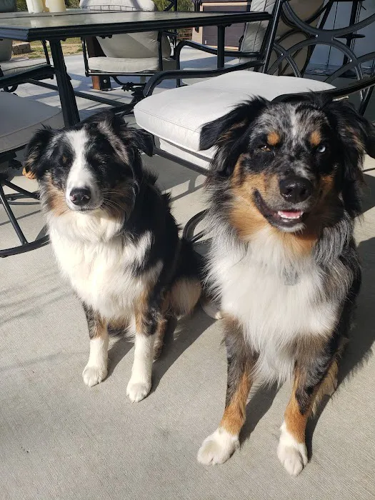 Tellico Bay Animal Hospital LLC 7