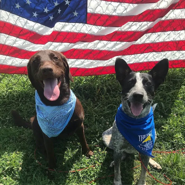 Tellico Bay Animal Hospital LLC 10