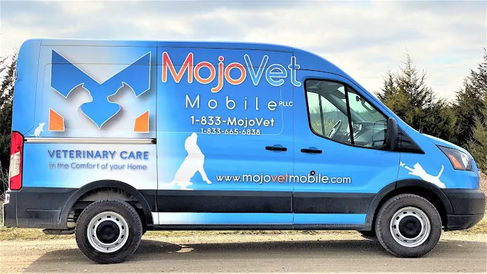 MojoVet 4