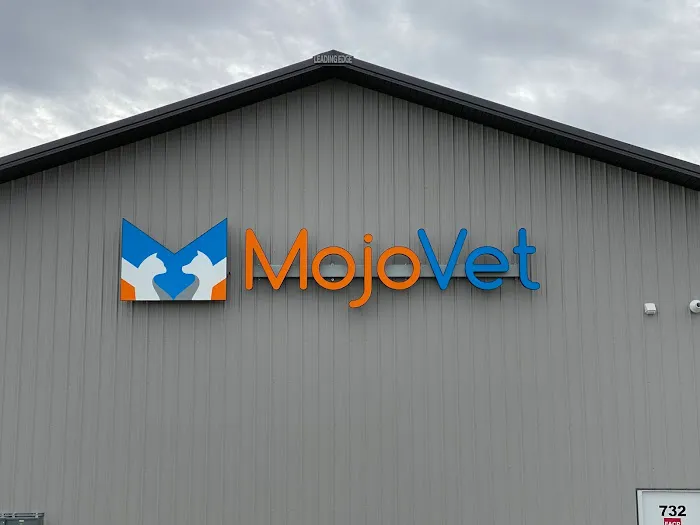 MojoVet 3