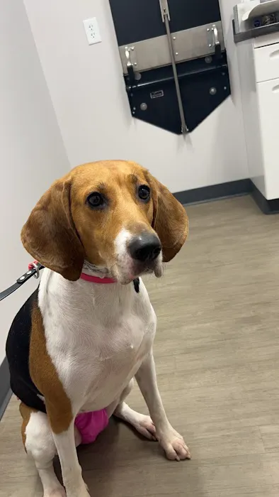 Van Meter Veterinary Clinic 1