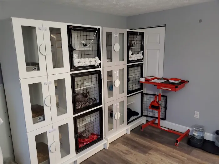 Skin-Cats Cattery LLC. 9