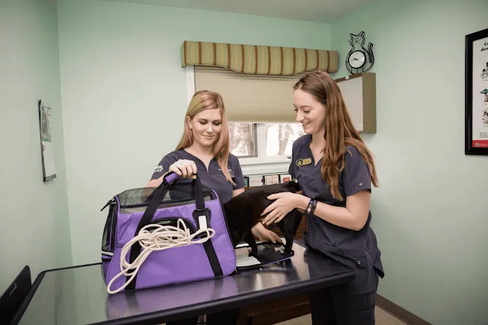 Hilltop Animal Hospital 8