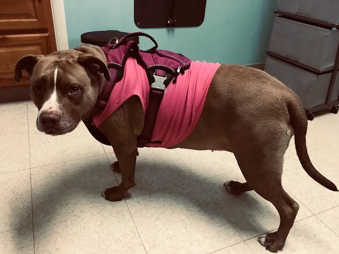 Hilltop Animal Hospital 5
