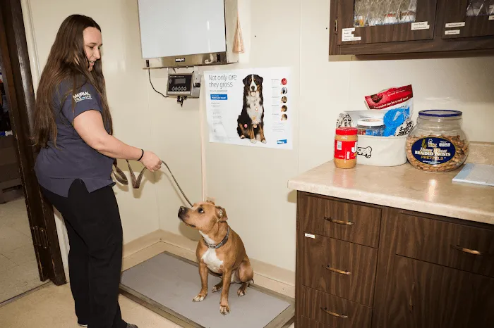 Hilltop Animal Hospital 6