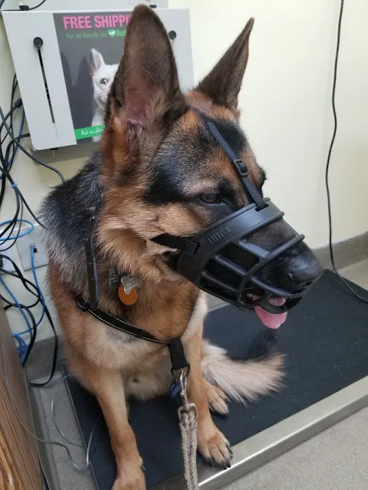 Moon Veterinary Hospital 10