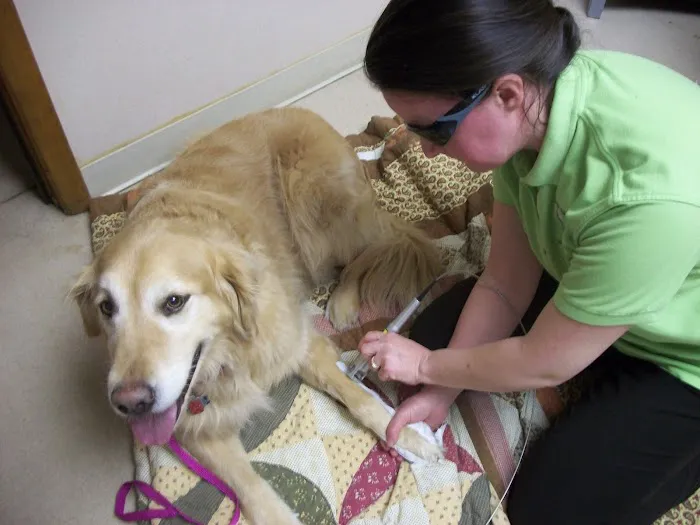 Green Valley Veterinary Hospital 3