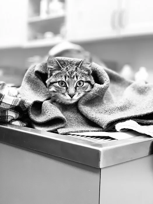Cranberry Veterinary Hospital 7