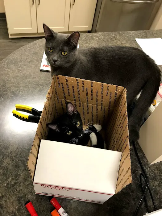 Cranberry Veterinary Hospital 6
