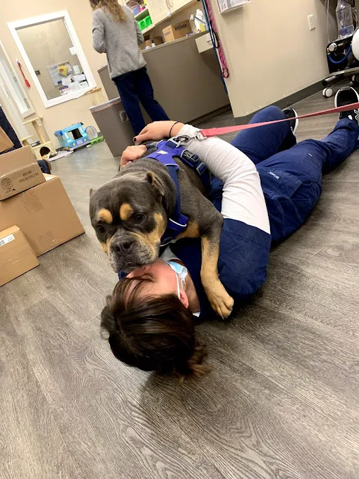 Cranberry Veterinary Hospital 9