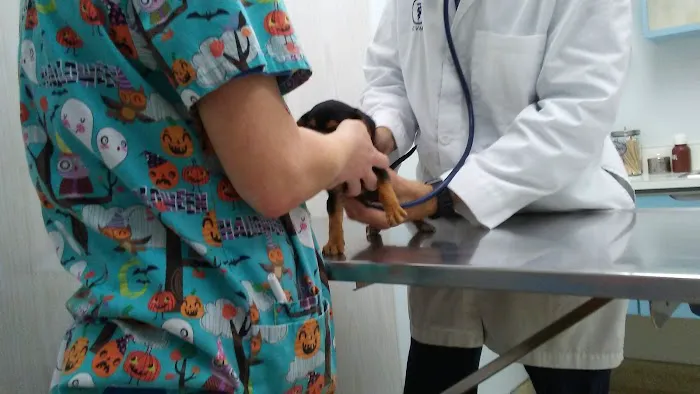 Steubenville Veterinary Hospital 5