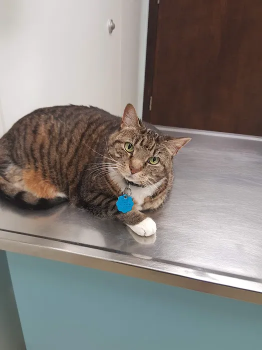 Steubenville Veterinary Hospital 7