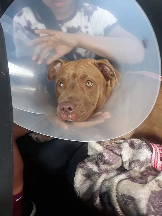 Jefferson County Humane Society Veterinarian Clinic 4
