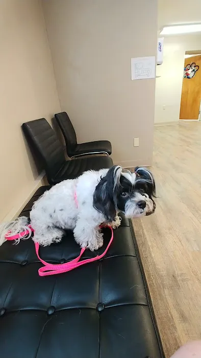 Jefferson County Humane Society Veterinarian Clinic 9