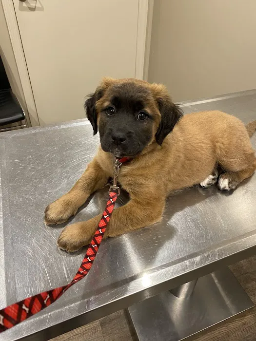 Jefferson County Humane Society Veterinarian Clinic 1