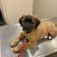 Jefferson County Humane Society Veterinarian Clinic ico